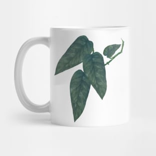 Pothos Cebu Blue Leaf Mug